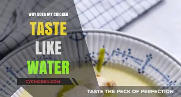 Why Your Chicken Tastes Like Water: A Culinary Mystery Solved
