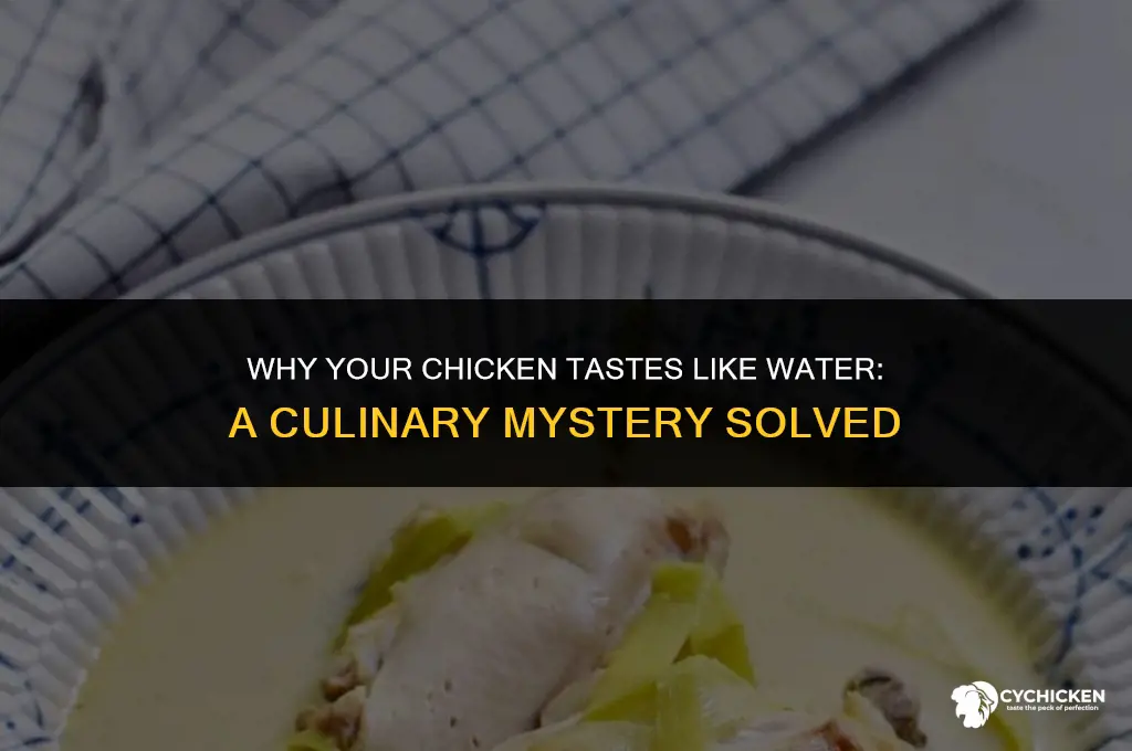 why does my chicken taste like water