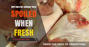 Why Fresh Chicken Tastes Spoiled: Causes and Solutions Explained