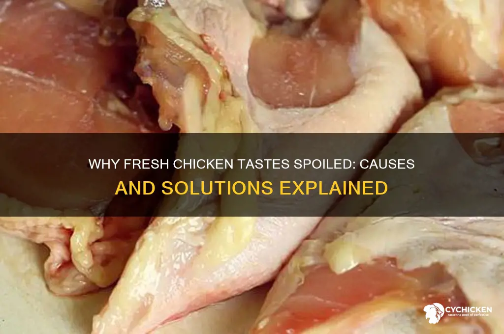 why does my chicken taste spoiled when fresh