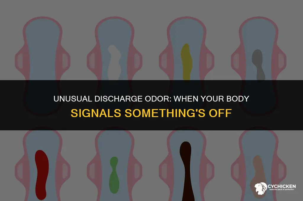 why does my discharge smell like chicken broth