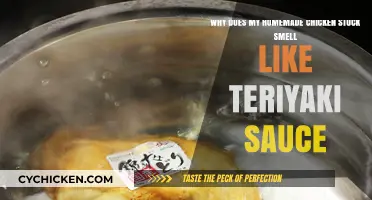 Why Homemade Chicken Stock Smells Like Teriyaki Sauce: Explained