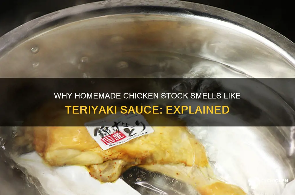 why does my homemade chicken stock smell like teriyaki sauce