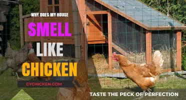 Why Your Home Might Smell Like Chicken: Causes and Solutions