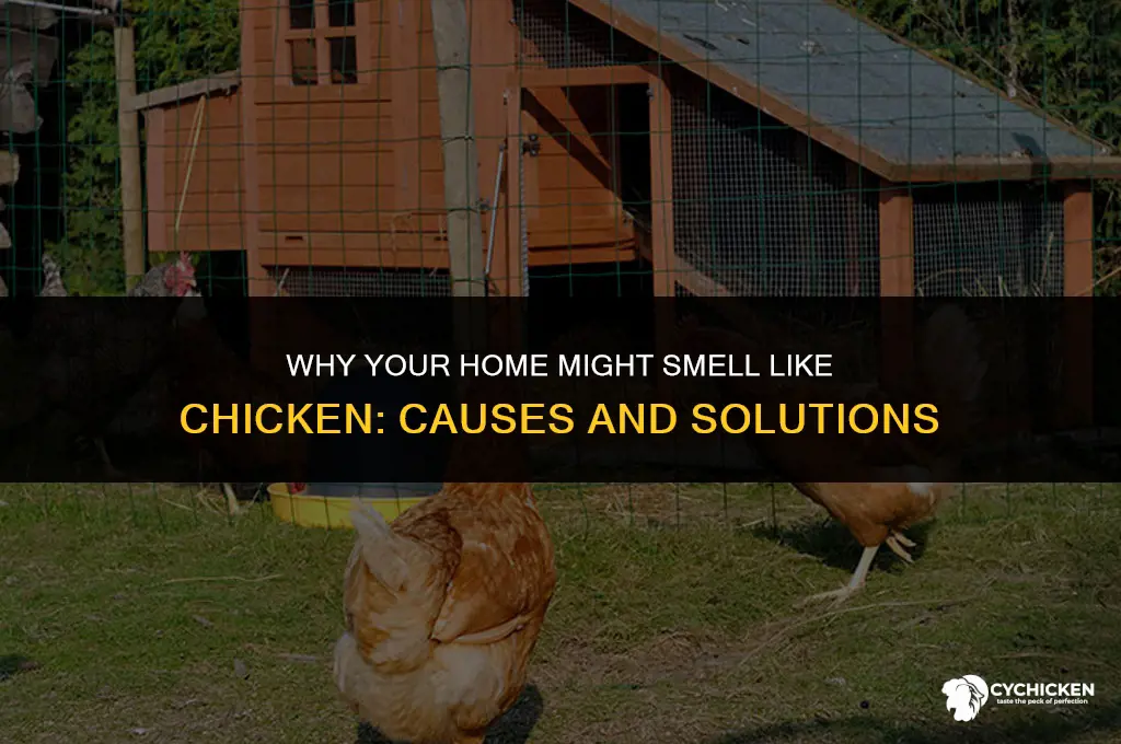 why does my house smell like chicken