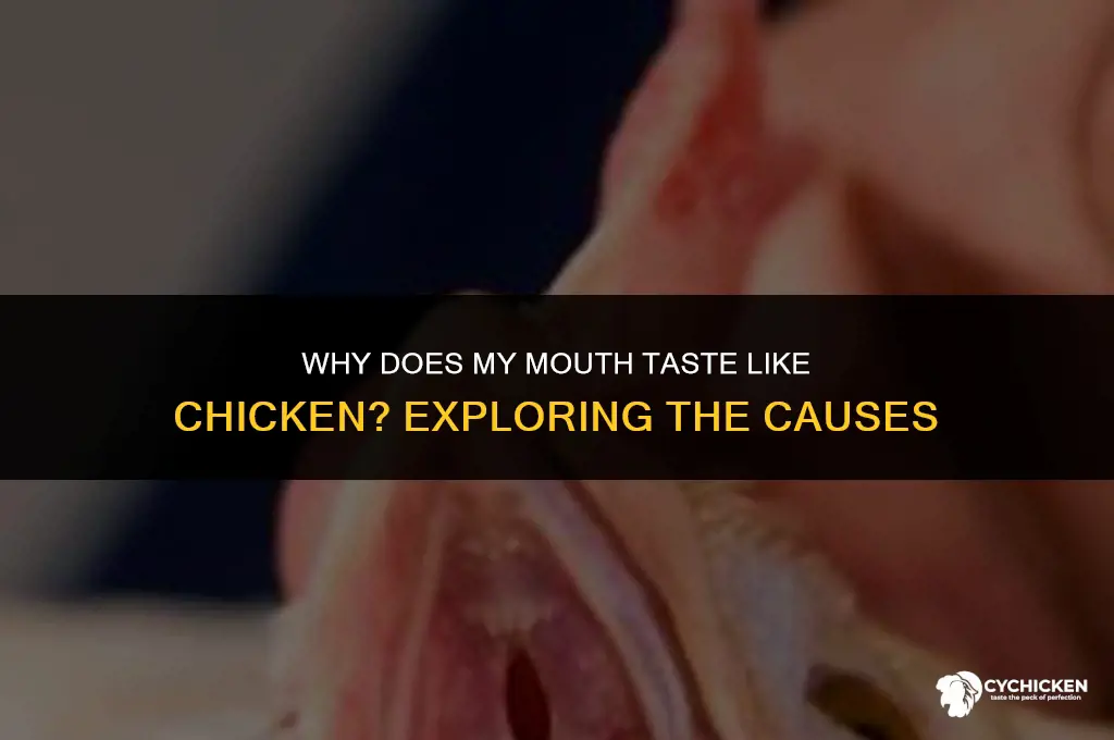 why does my mouth taste like chicken