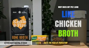 Unusual Urine Color: When Your Pee Resembles Chicken Broth