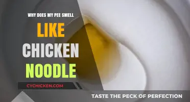 Unraveling the Mystery: Why Your Pee Smells Like Chicken Noodle Soup