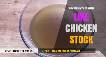 Unusual Urine Odor: When Your Pee Smells Like Chicken Stock