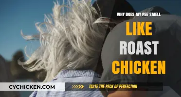 Why Does My Pee Smell Like Roast Chicken? Causes Explained