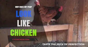Unraveling the Mystery: Why Your Poop Might Resemble Chicken
