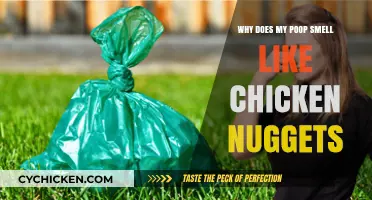 Why Does My Poop Smell Like Chicken Nuggets? Explained