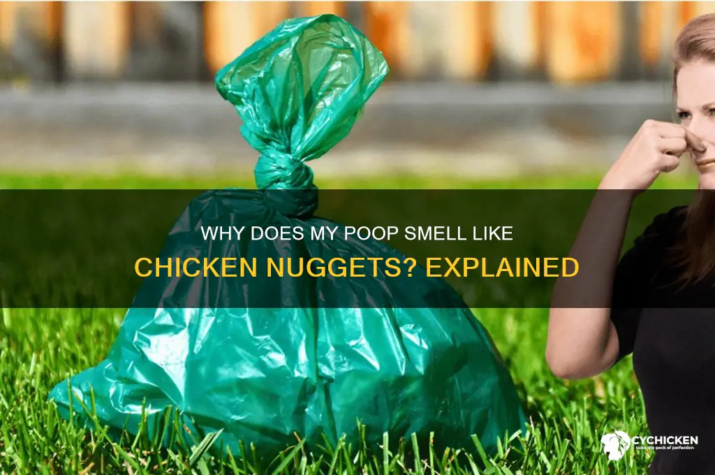 why does my poop smell like chicken nuggets