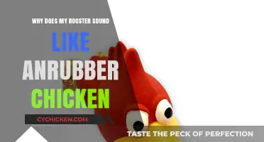 Why Does My Rooster Sound Like a Squeaky Toy?