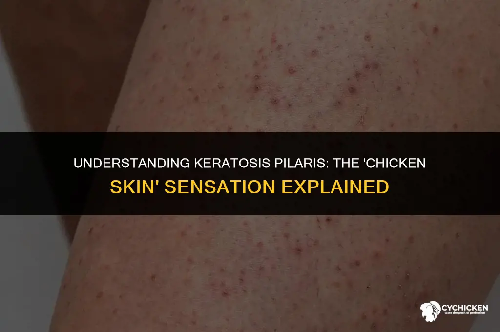 why does my skin feel like chicken skin
