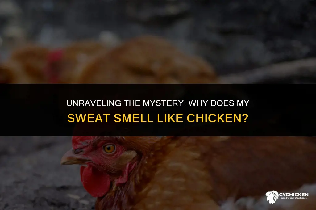 why does my sweat smell like chicken