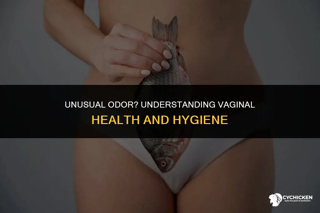 why does my vag smell like chicken