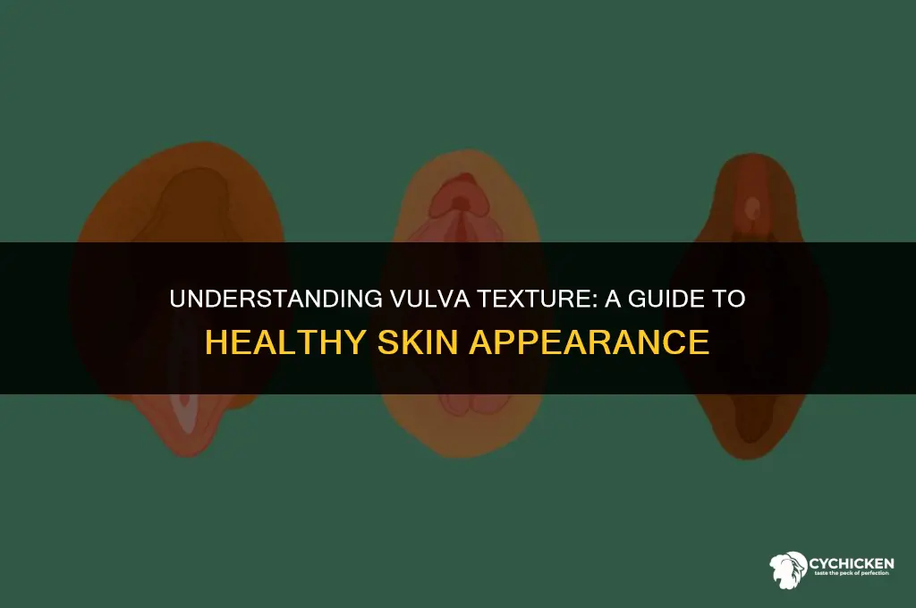 why does my vulva look like chicken skin