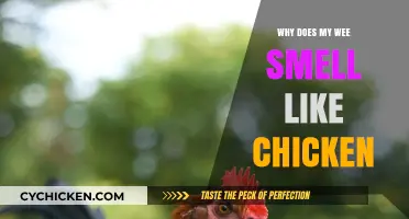 Unusual Urine Odor? Exploring the Causes of Chicken-Like Smell