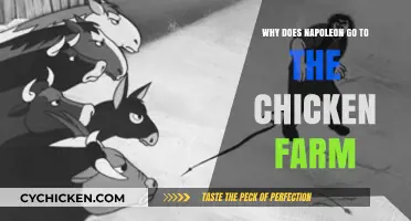 Napoleon's Unexpected Visit: Unraveling the Chicken Farm Mystery