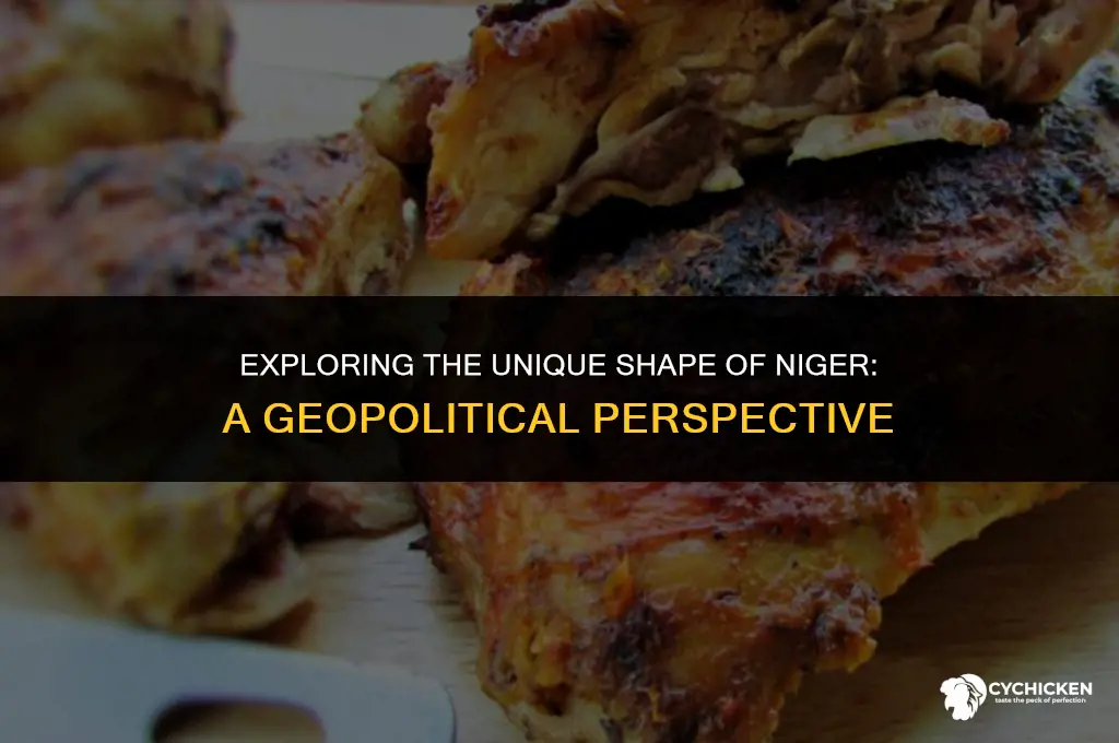 why does niger look like a chicken leg
