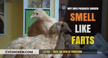 Unraveling the Mystery: Why Packaged Chicken Sometimes Smells Off