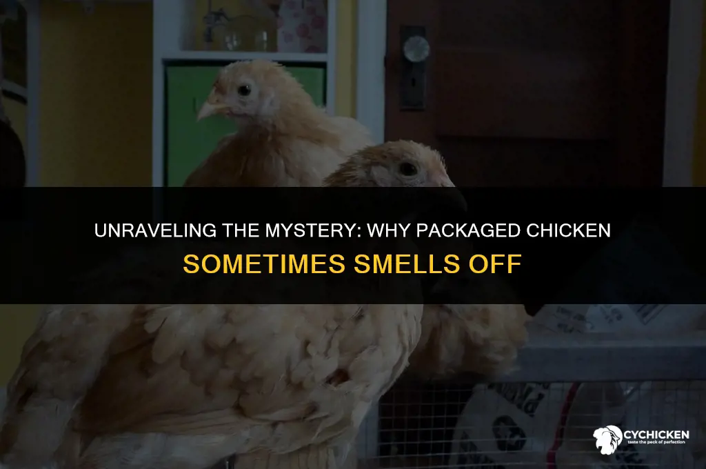 why does packaged chicken smell like farts