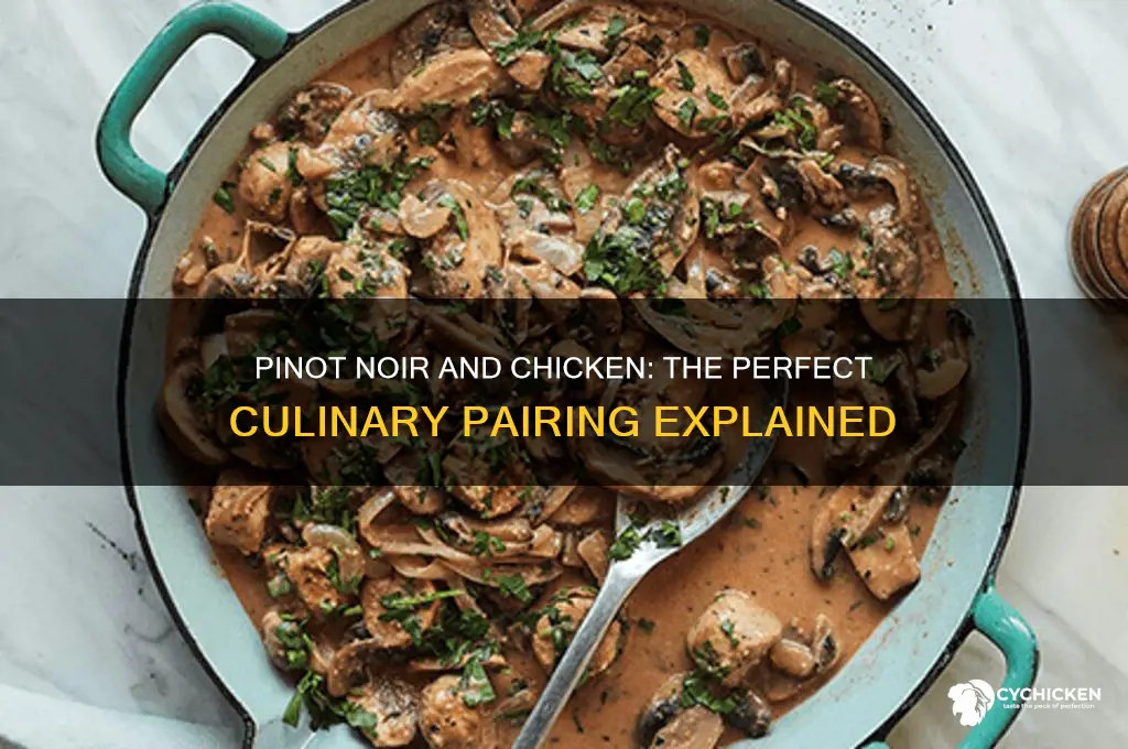 why does pinot noir pair well with chicken
