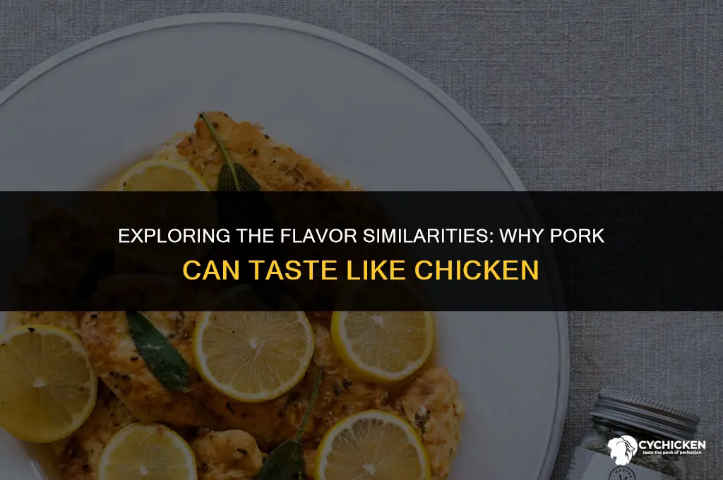 why does pork taste like chicken