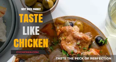 Culinary Curiosities: Unraveling the Mystery of Rabbit's Chicken-Like Flavor