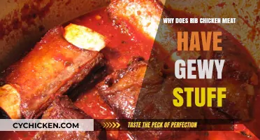 Why Rib Chicken Meat Has Gelatinous Bits: Explained