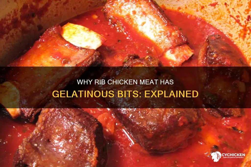 why does rib chicken meat have gewy stuff