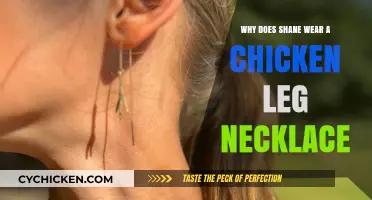 Shane's Chicken Leg Necklace: Unraveling the Quirky Fashion Mystery
