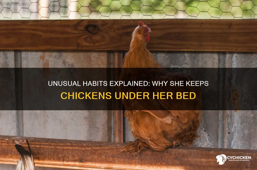 why does she keep chicken under her bed