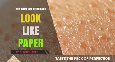 Unveiling the Mystery: Why Chicken Skin Resembles Paper