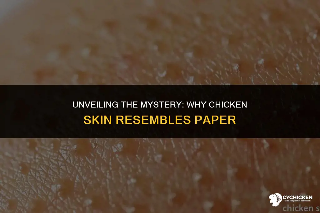 why does skin of chicken look like paper