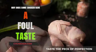 Why Some Chicken Tastes Foul: Causes and Solutions Explained