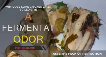 Cooking Chicken: Fermentation Odor Explained