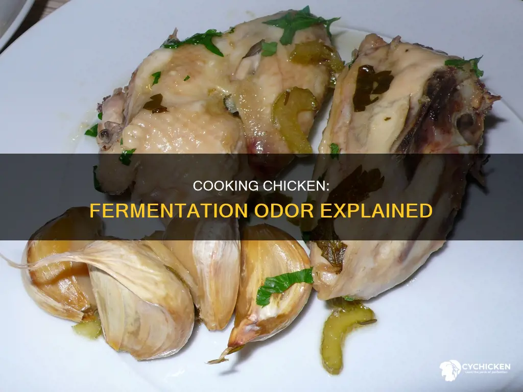why does some chicken when boiled give a fermentation odor