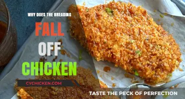 Why Breading Falls Off Chicken: Common Mistakes and Easy Fixes