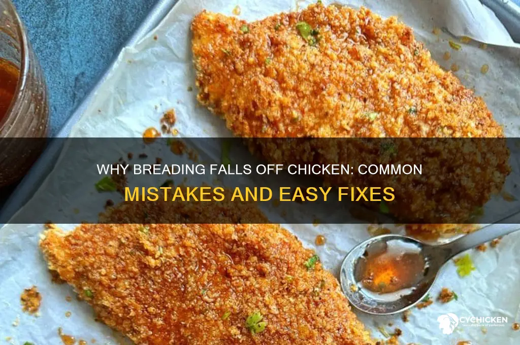 why does the breading fall off chicken