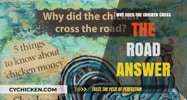 Why Chickens Cross Roads: Unraveling the Classic Riddle's Answer
