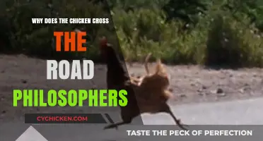 Philosophical Poultry: Why Did the Chicken Cross the Road?