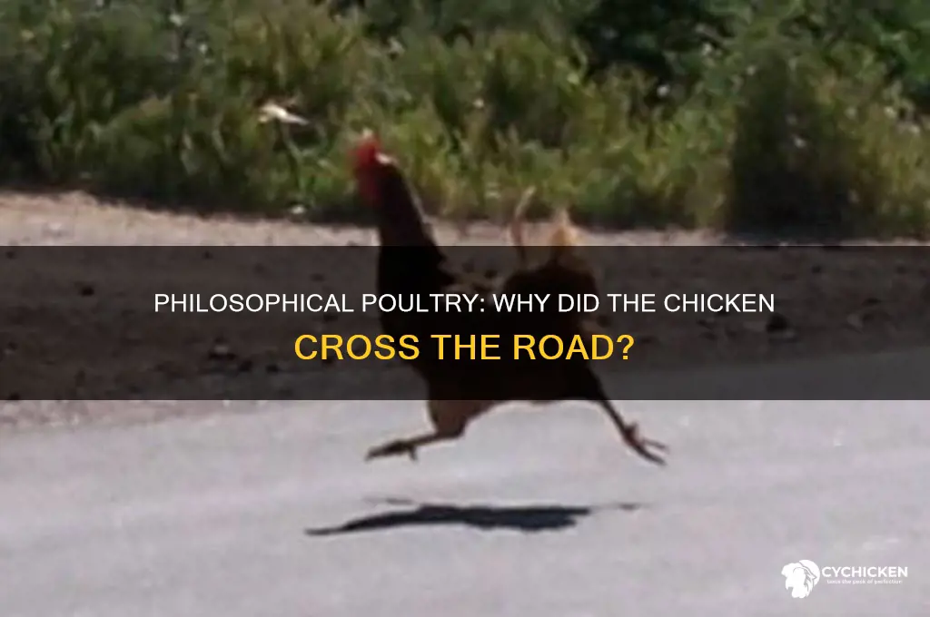 why does the chicken cross the road philosophers