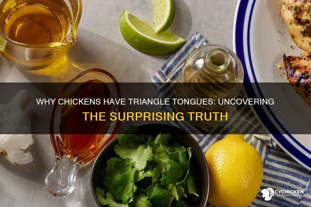 why does the chicken have a triangle tongue