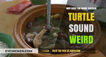 Why 'Chicken Turtle' Sounds Odd: Unraveling the Strange Name Mystery