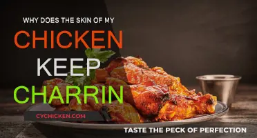 Preventing Chicken Skin from Charring: Tips and Tricks