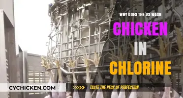 Chlorine-Washed Chicken: Understanding the US Poultry Processing Practice