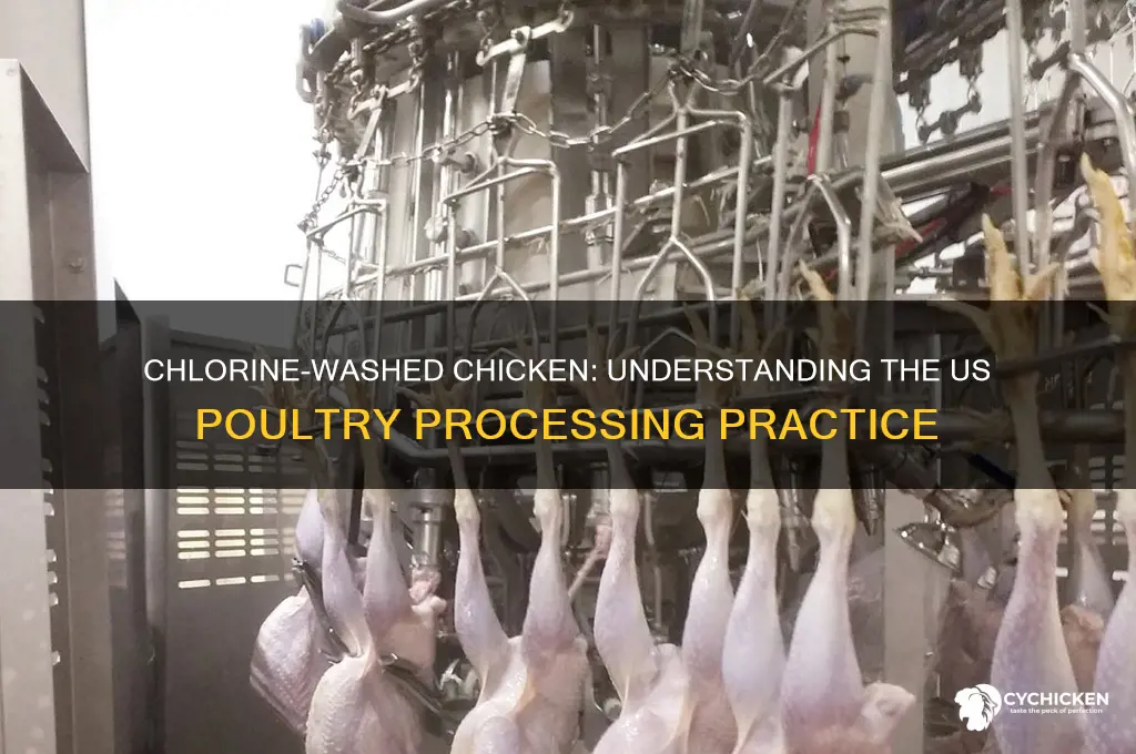 why does the us wash chicken in chlorine