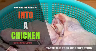 Why the World Fits into a Chicken: Unraveling the Mystery